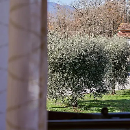 Country Vintage House - With Garden