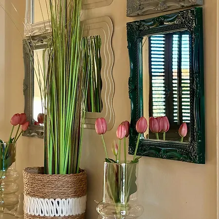 Country Vintage House - With Garden Appartamento Pianore